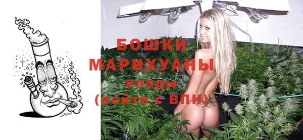 ALPHA PVP Осинники
