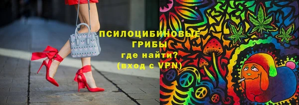 ALPHA PVP Осинники