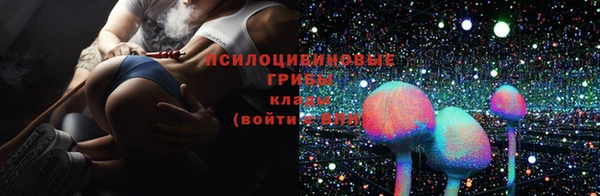 экстази Осташков