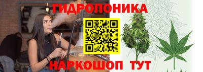 хмурый Аргун