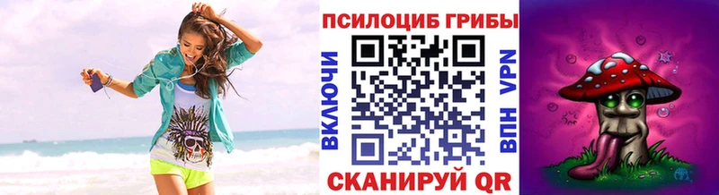 где можно купить   мориарти Telegram  Псилоцибиновые грибы Psilocybe  Аргун 