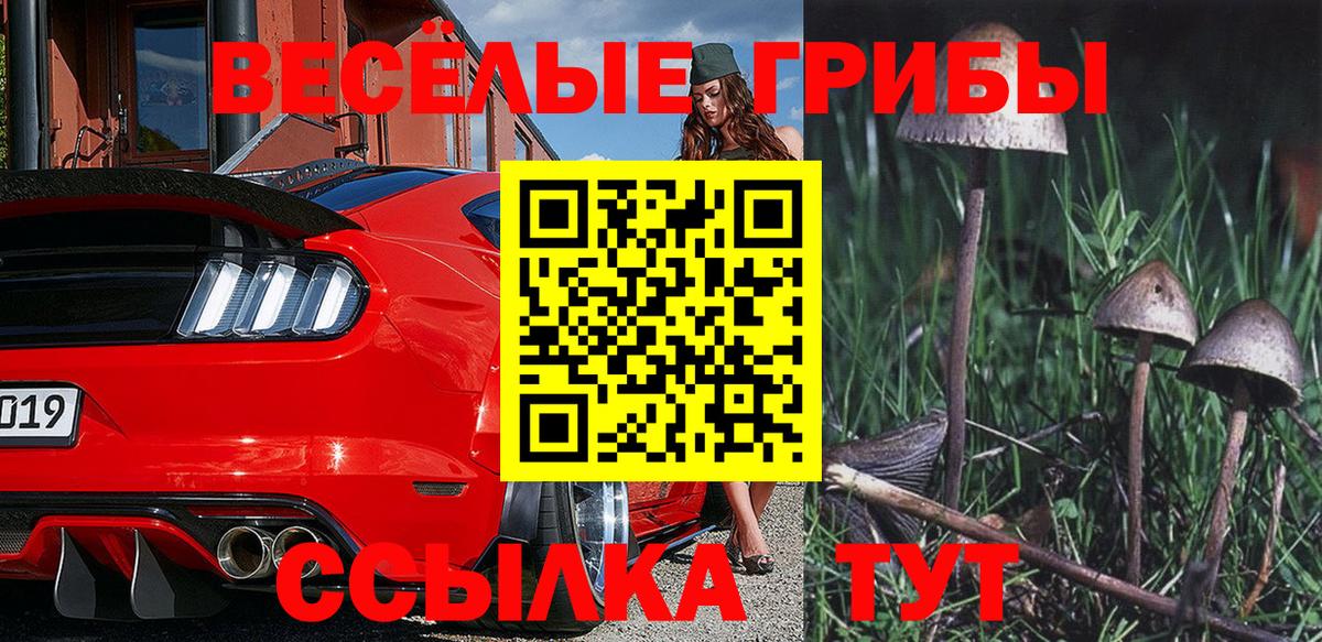 Галлюциногенные грибы Cubensis  Галлюциногенные грибы MAGIC MUSHROOMS  Аргун  Вход с VPN 