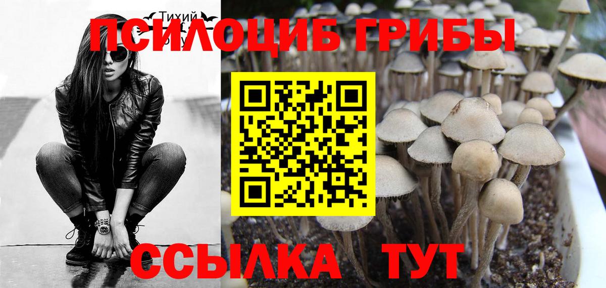 Галлюциногенные грибы ЛСД Аргун