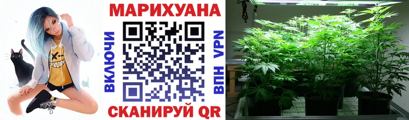 Бошки марихуана AK-47  продажа наркотиков  Аргун 